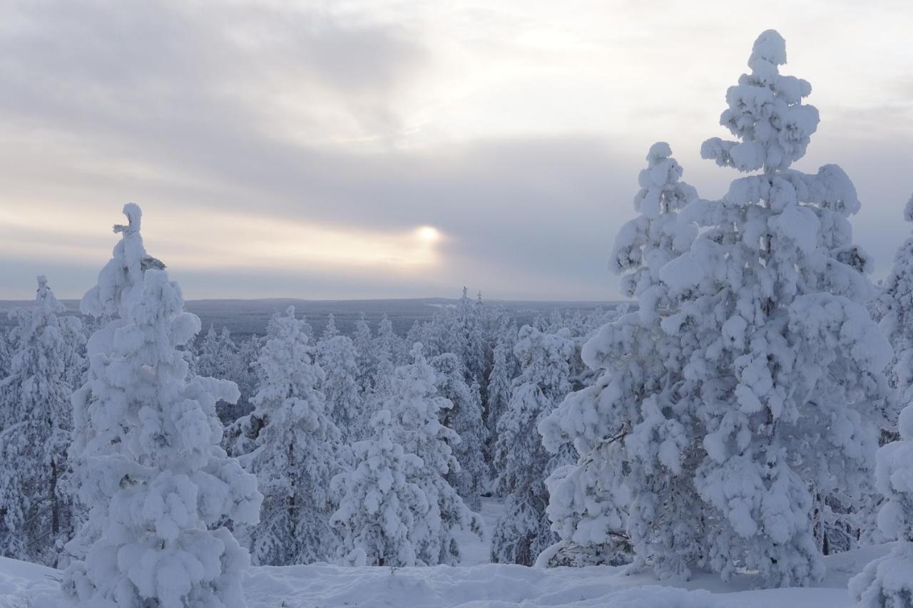 Arctic City Nest Rovaniemi Exterior foto